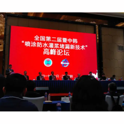 微创堵漏高峰论坛
